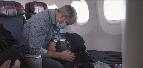 Chris pats Eva as she sits at his feet onboard a plane