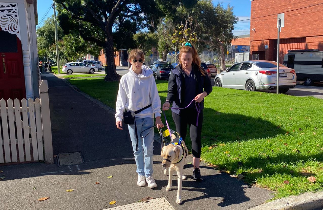 A Seeing Eye Dogs instructor shows a youth program participant in a white hoodie and jeans how to walk with a Seeing Eye Dog wearing a harness outside
