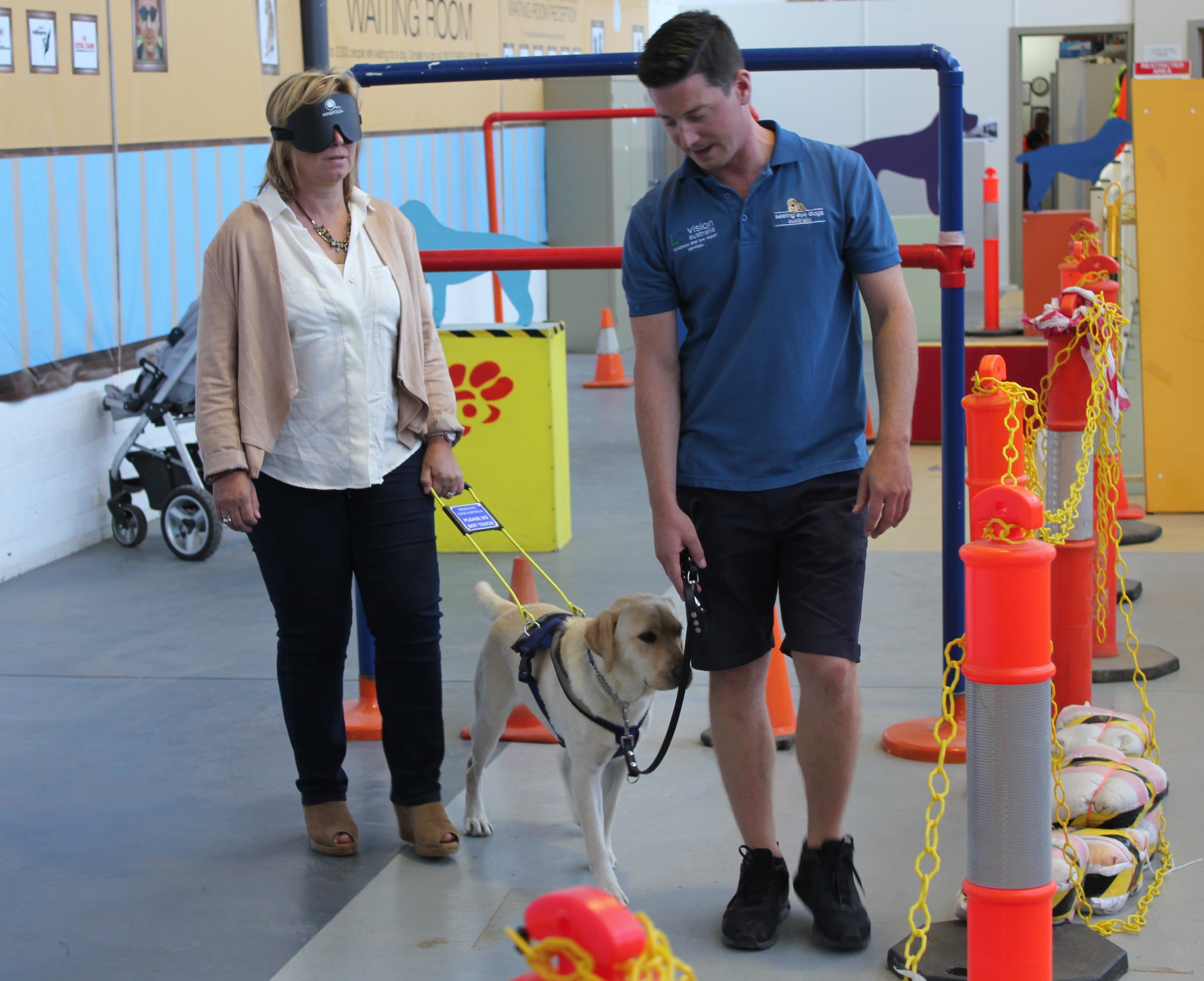 Rosie blindfolded being guided by a Seeing Eye Dog