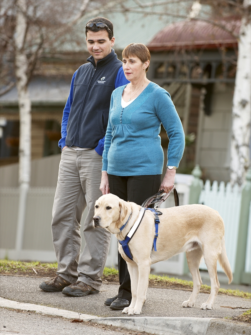 A trainer, and woman handling the seeing eye dog, wait to cross the road