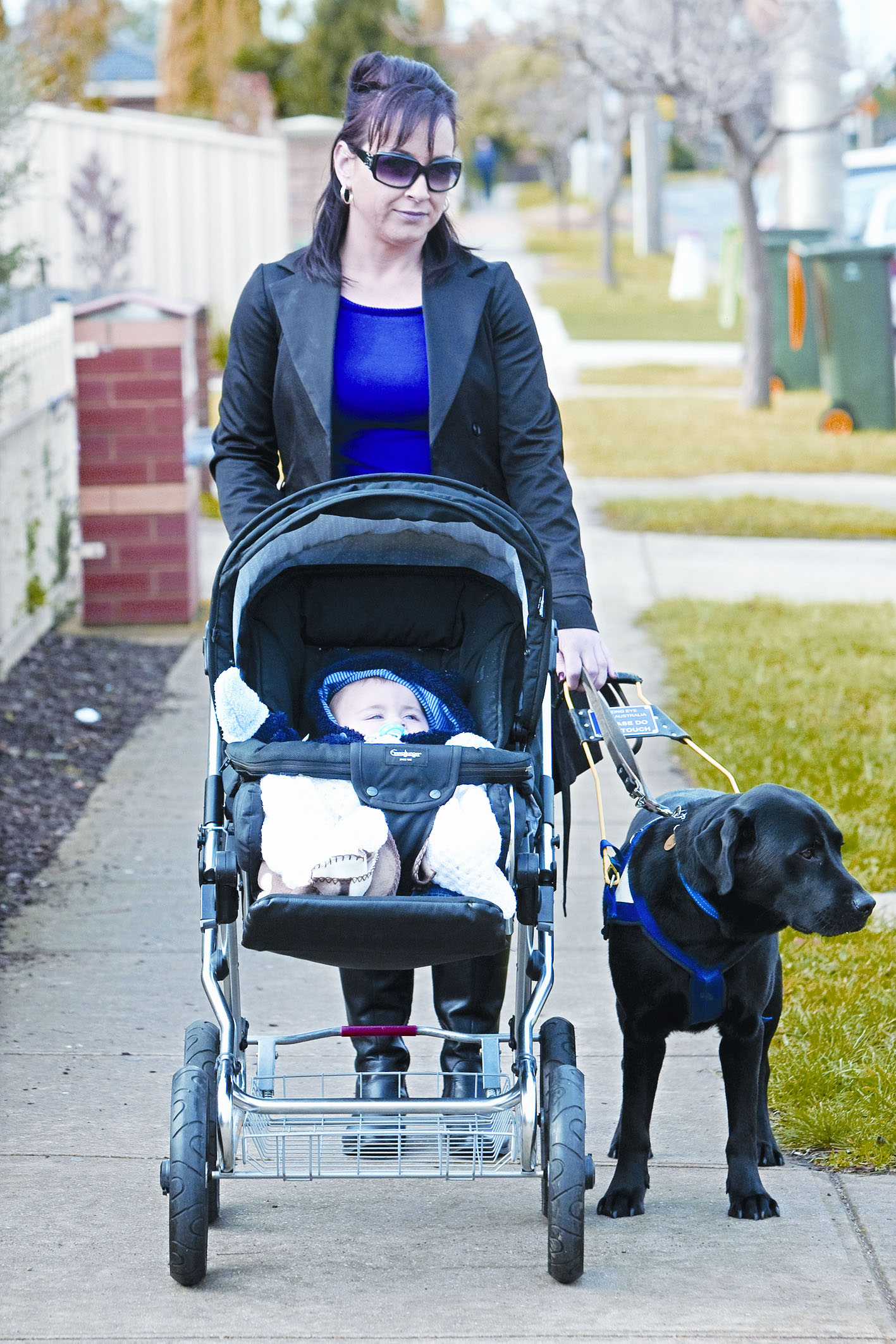 Woman is walking with her seeing eye dog whilst pushing her baby in the pram