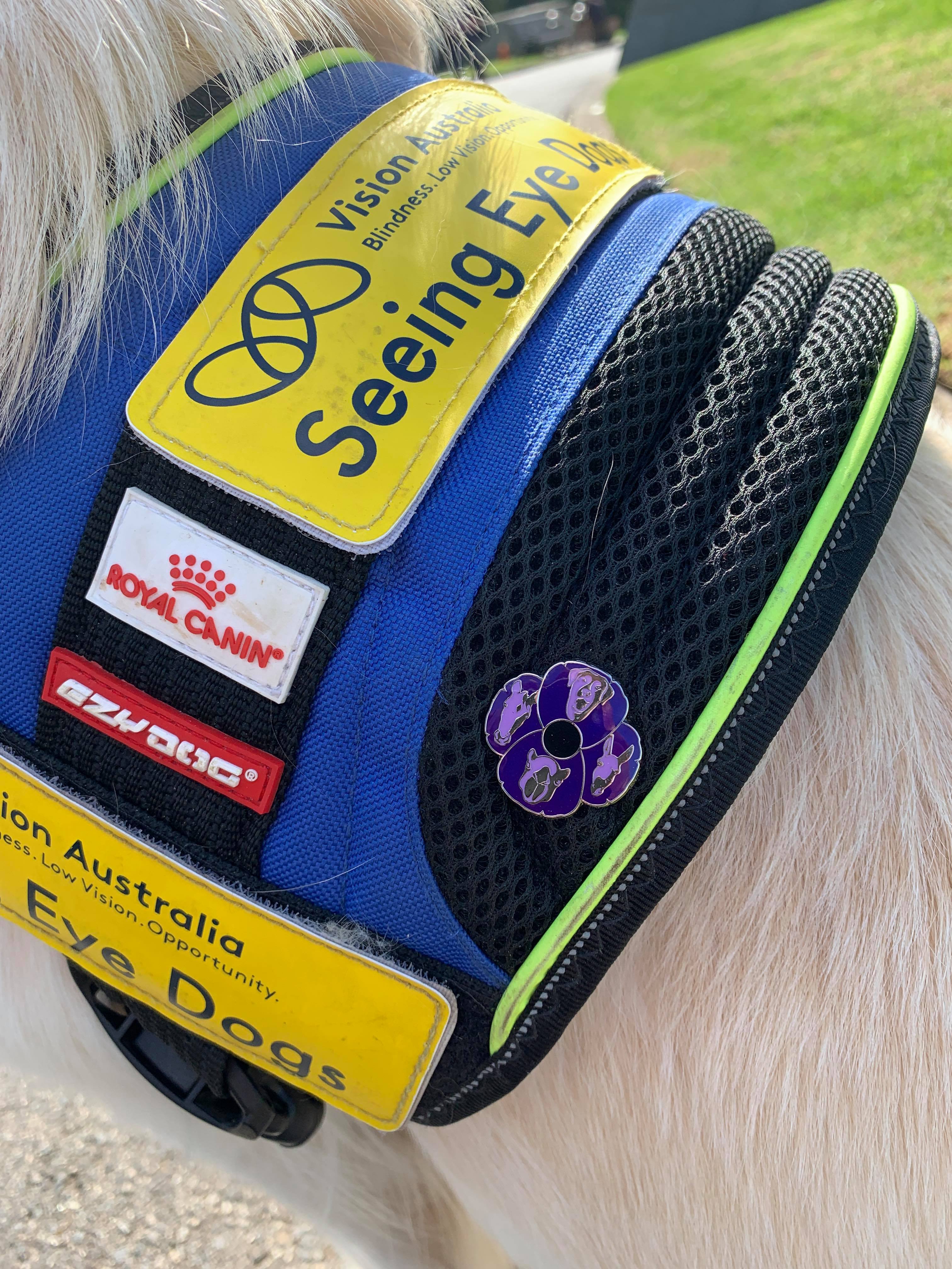 Close up shot of the purple poppy pin in SED breeder dog Deuce's jacket