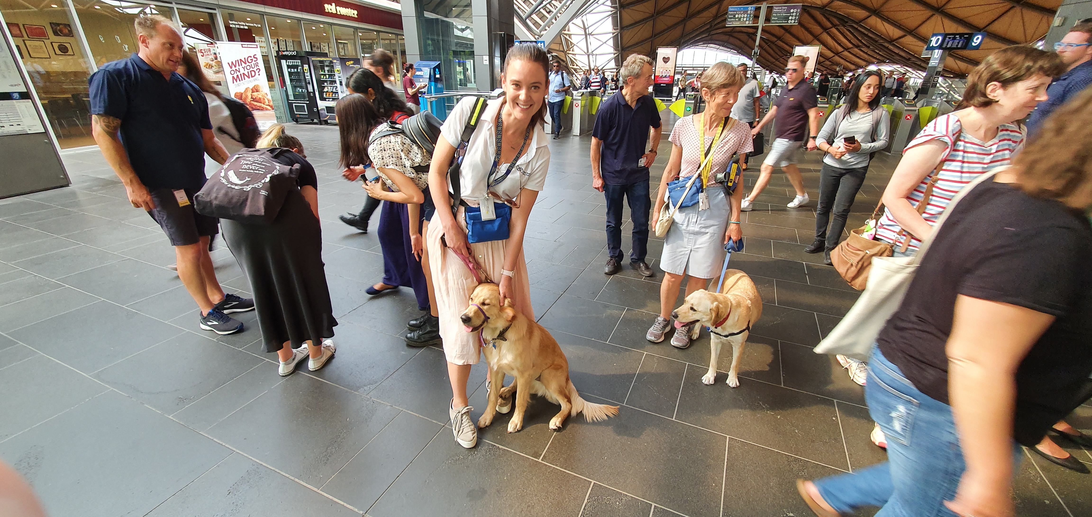 SED Staff Member Teish stands with SED in training Rupert amongst a crowd of people and another golden SED