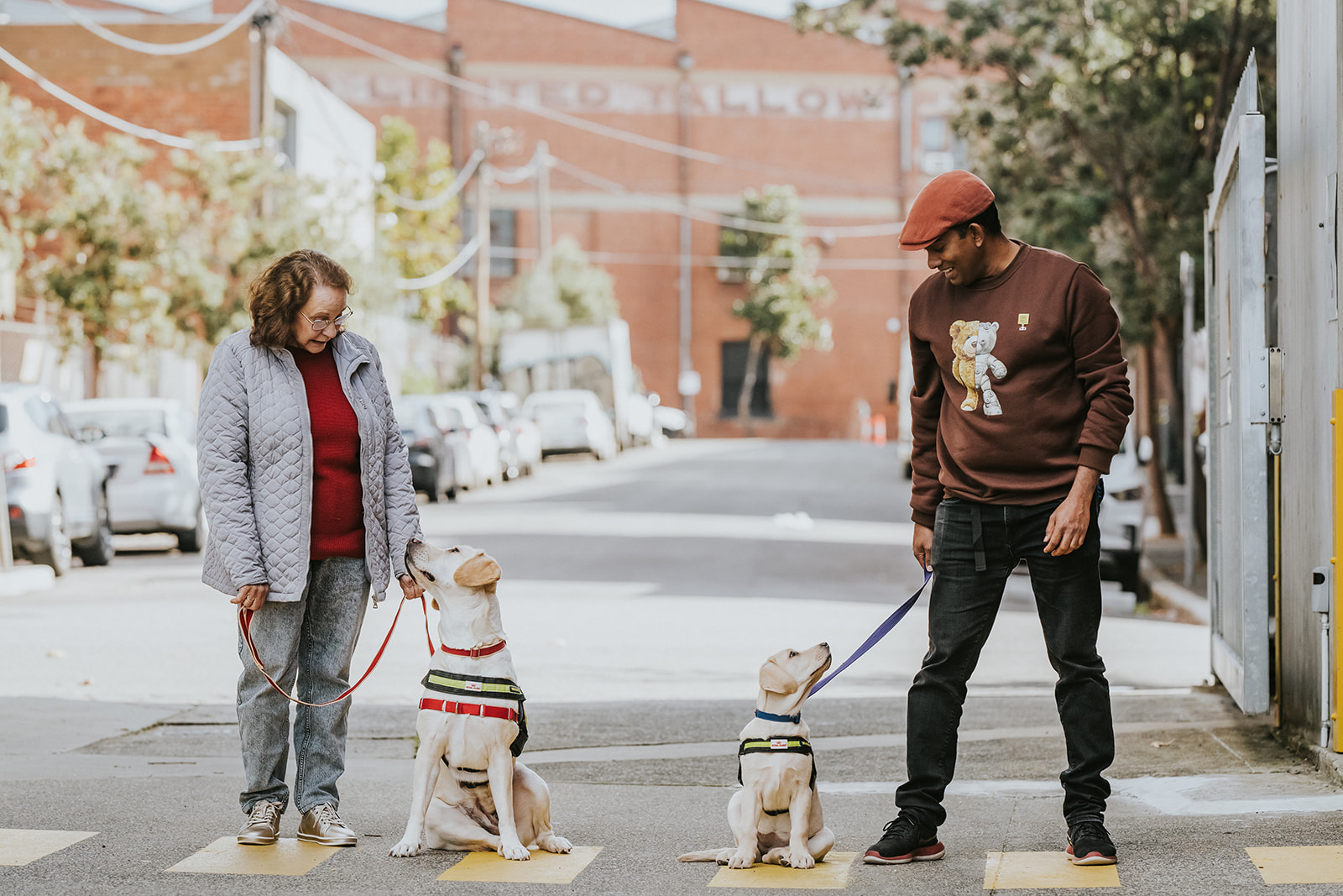 A older woman and young man are standing on a road, holding leads. The woman is smiling down at her adult Seeing Eye Dog in harness and the man is smiling down at his Seeing Eye Dogs puppy in harness